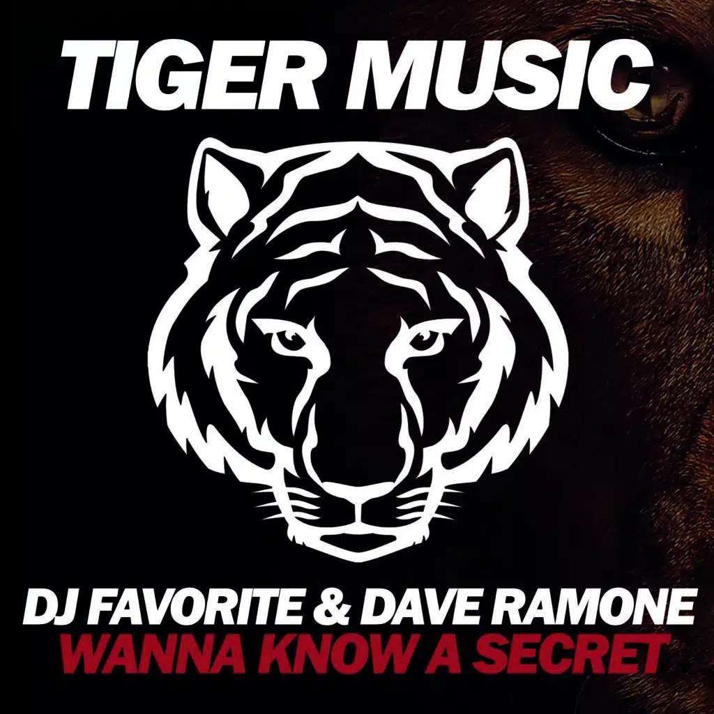 DJ Favorite, Dave Ramone