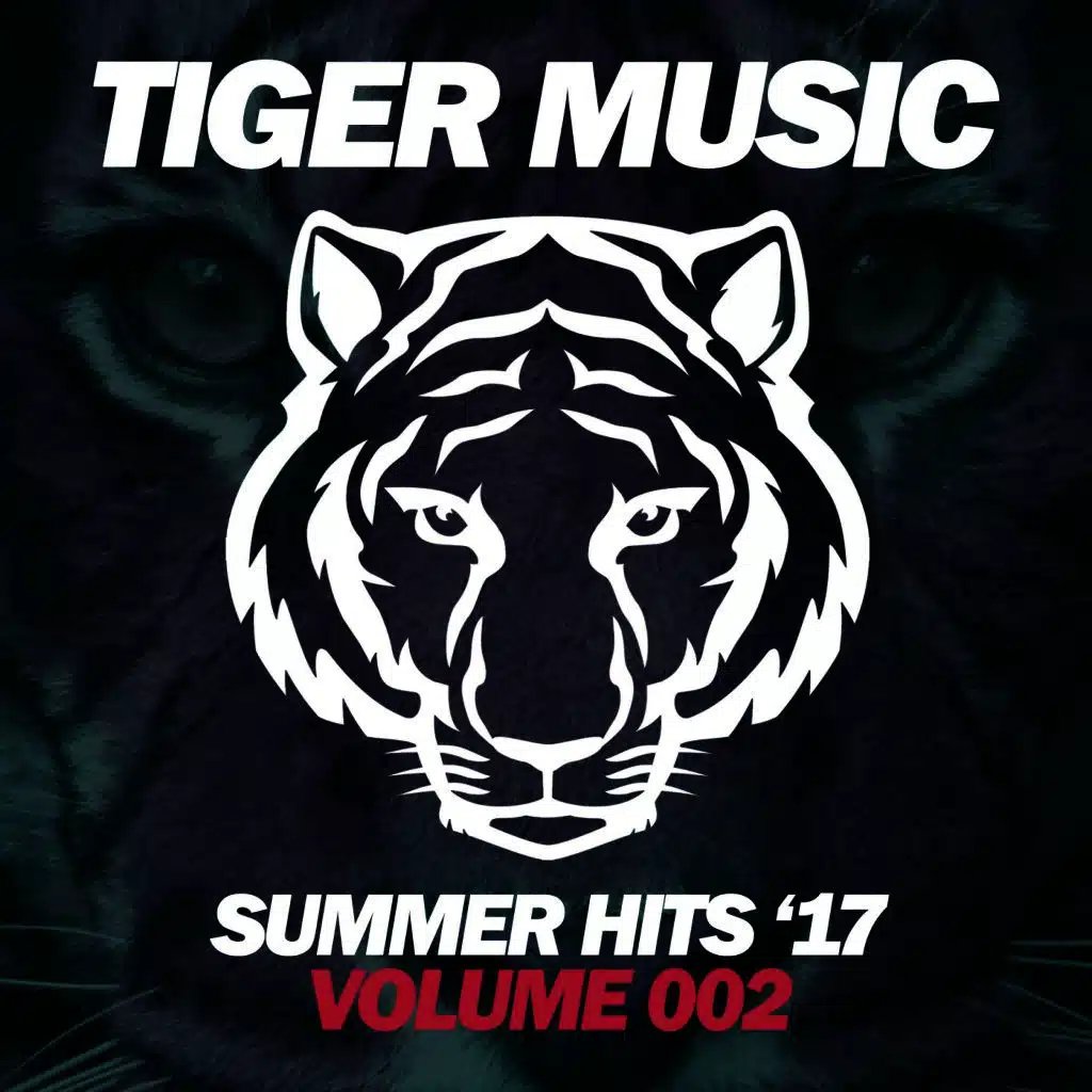 Summer Hits '17, Vol. 2