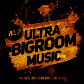 Ultra Bigroom Music, Vol. 2