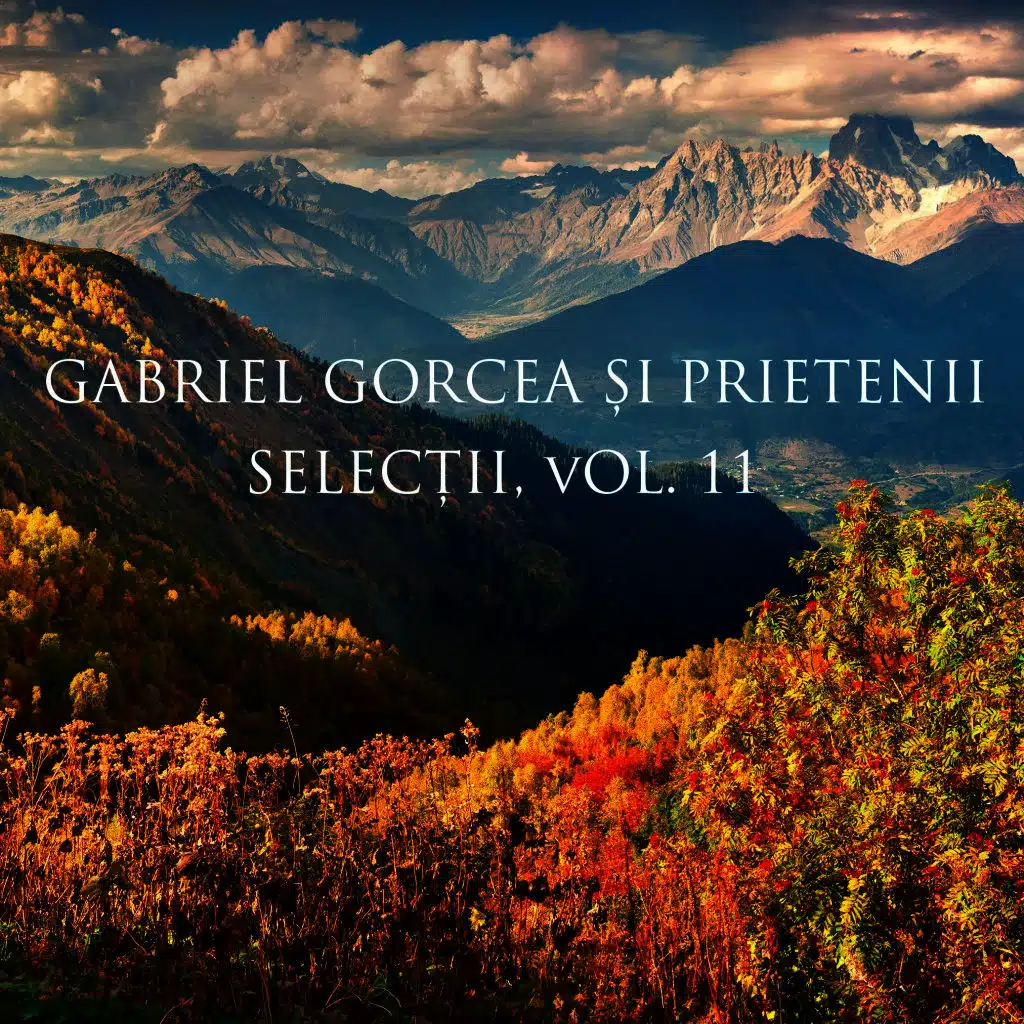 Selectii Vol. 11