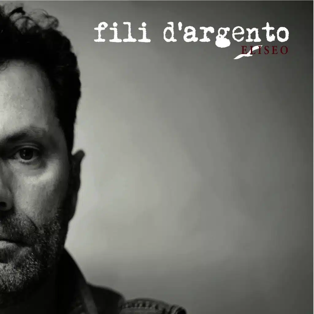 Fili d'argento