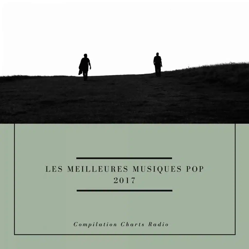 Les Meilleures Musiques Pop 2017