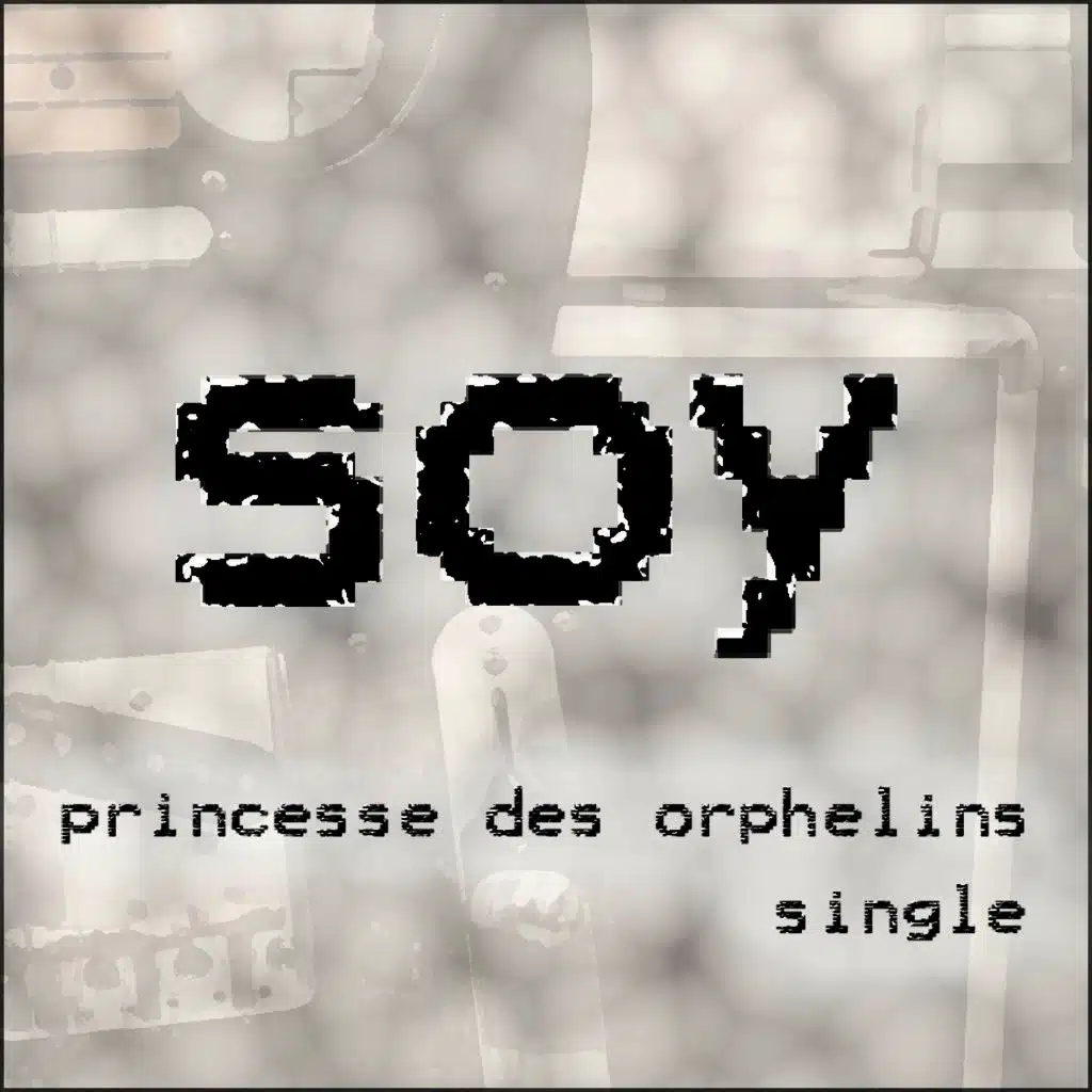 Princesse des orphelins