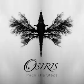 Trace the Steps