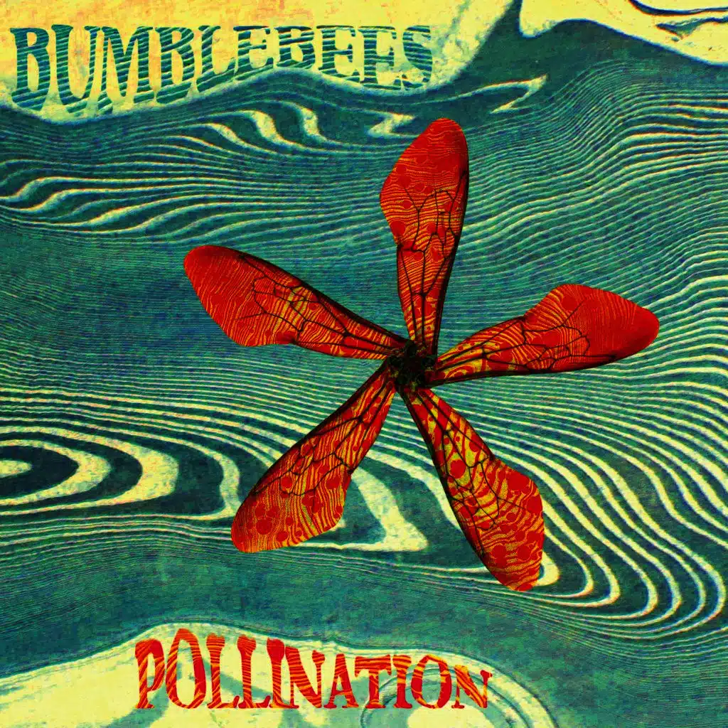 Pollination
