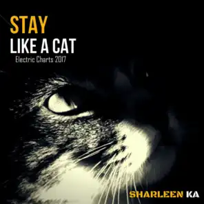 Stay Like a Cat