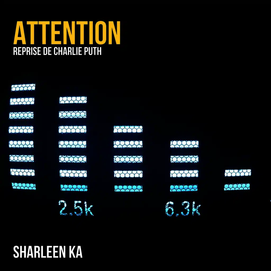 Attention (Reprise to Charlie Puth)