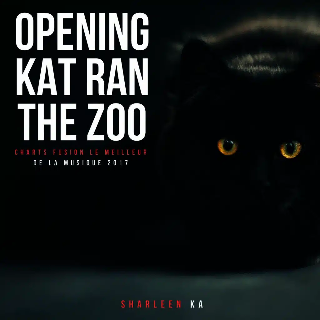 Opening Kat Ran the Zoo