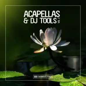 Enormous Tunes - Acapellas & DJ Tools, Vol. 2