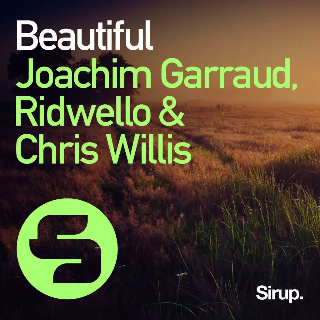 Joachim Garraud, Ridwello & Chris Willis
