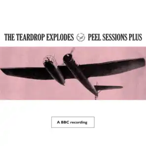 Peel Sessions Plus