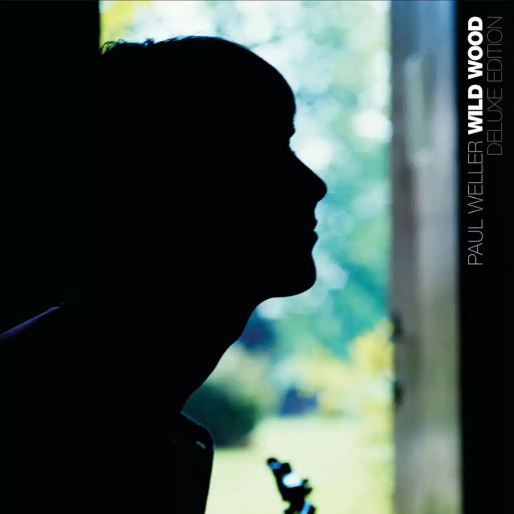 All The Pictures On The Wall (Demo Version)