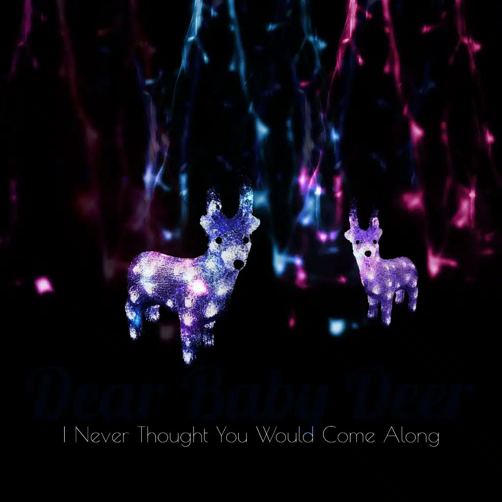 I Never Thought You Would Come Along EP