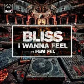 I Wanna Feel (feat. Fem Fel)