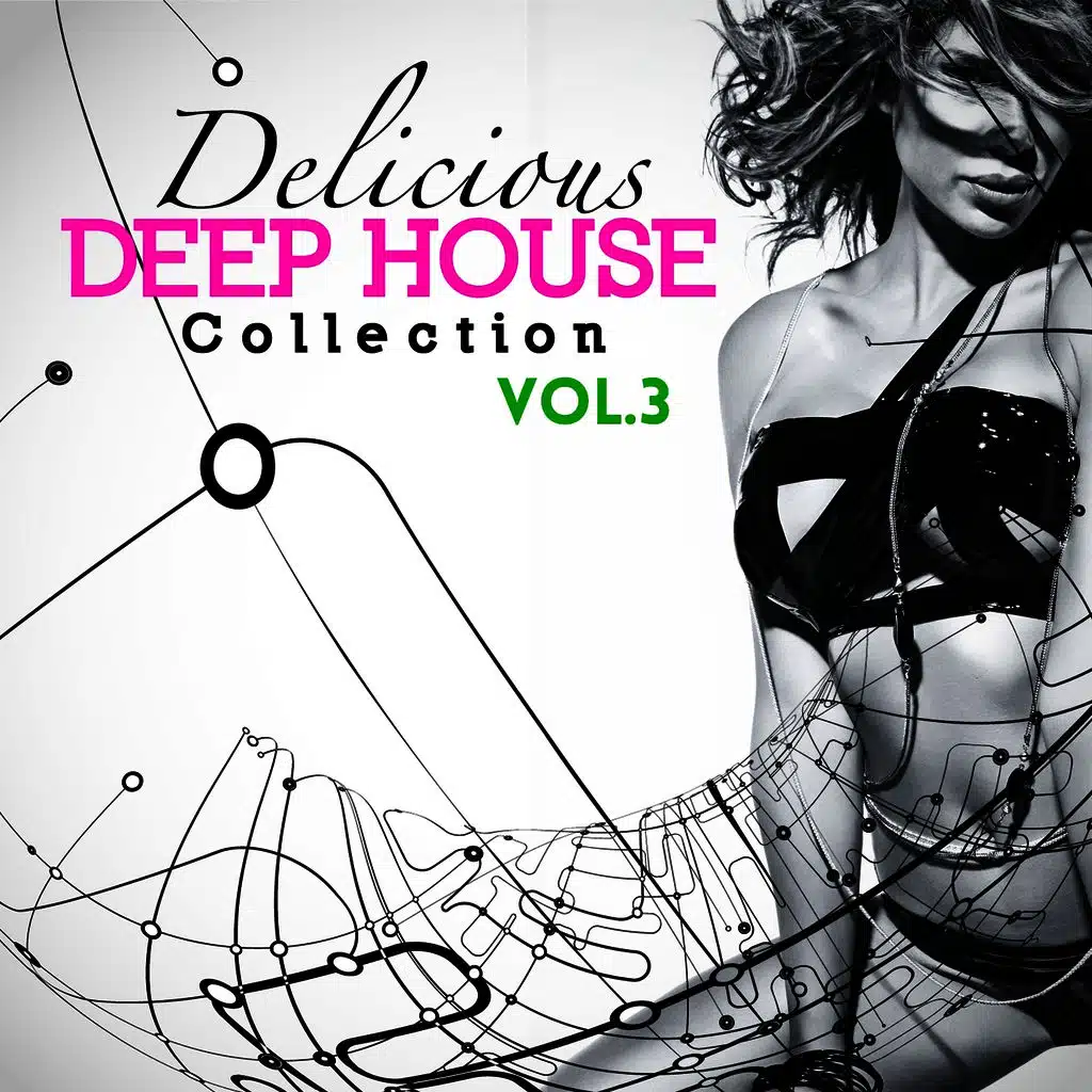Delicious Deep House Collection Vol.3