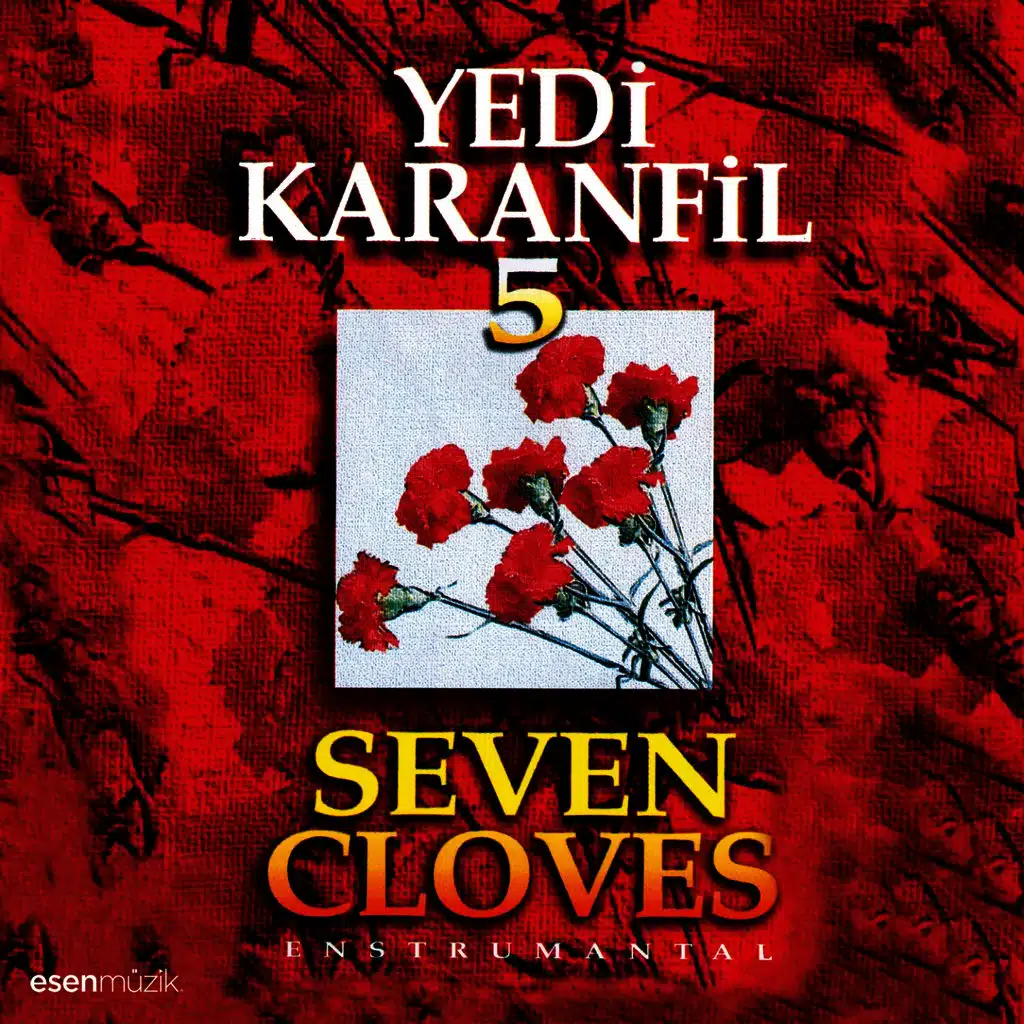 Kalanların Ardından