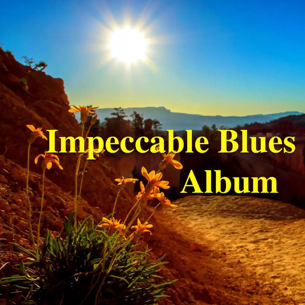 Impeccable Blues Album