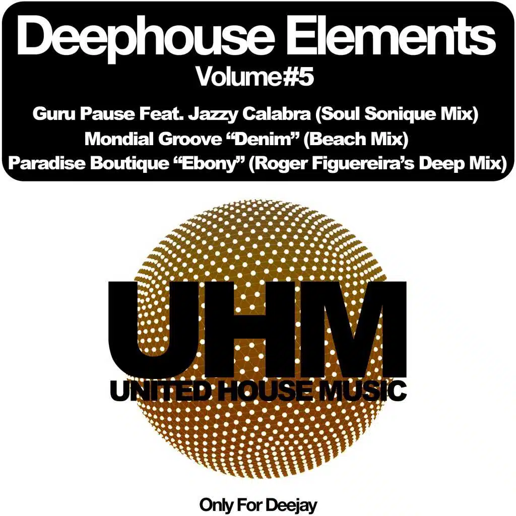 Deephouse Elements, Vol. 5 (Only for Deejay)