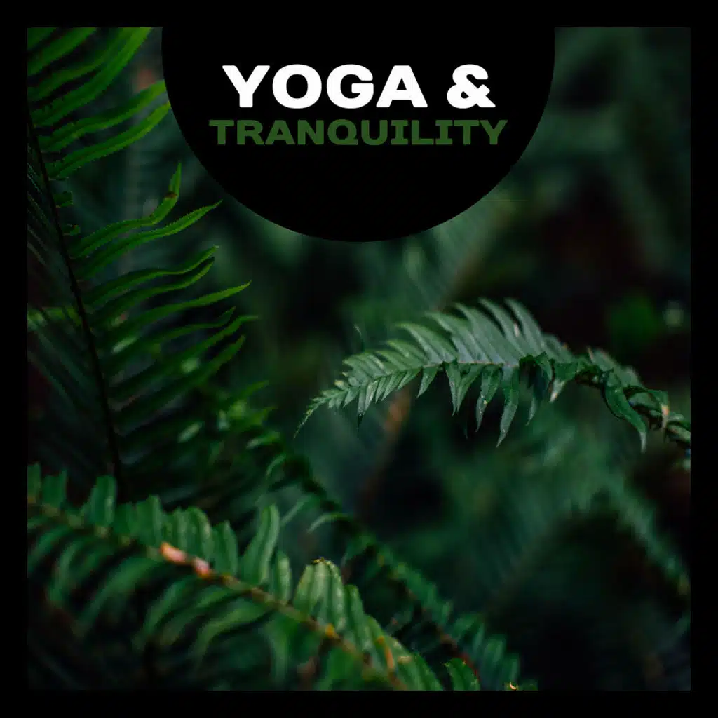 Spiritual Meditation