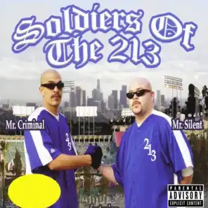 Soldier's of the 213