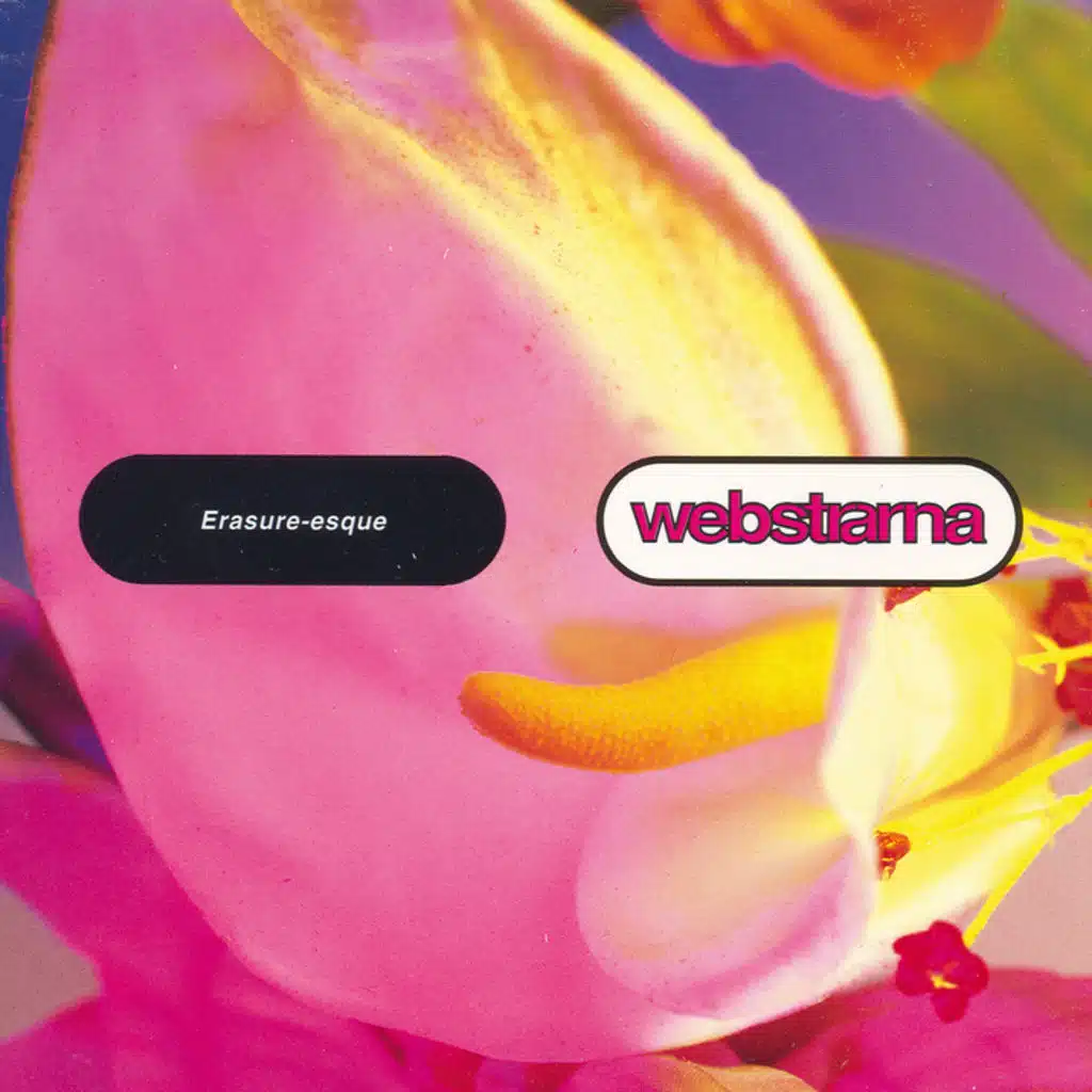 Erasure-Esque