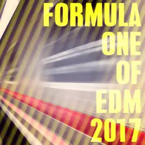 Formula One of EDM 2017