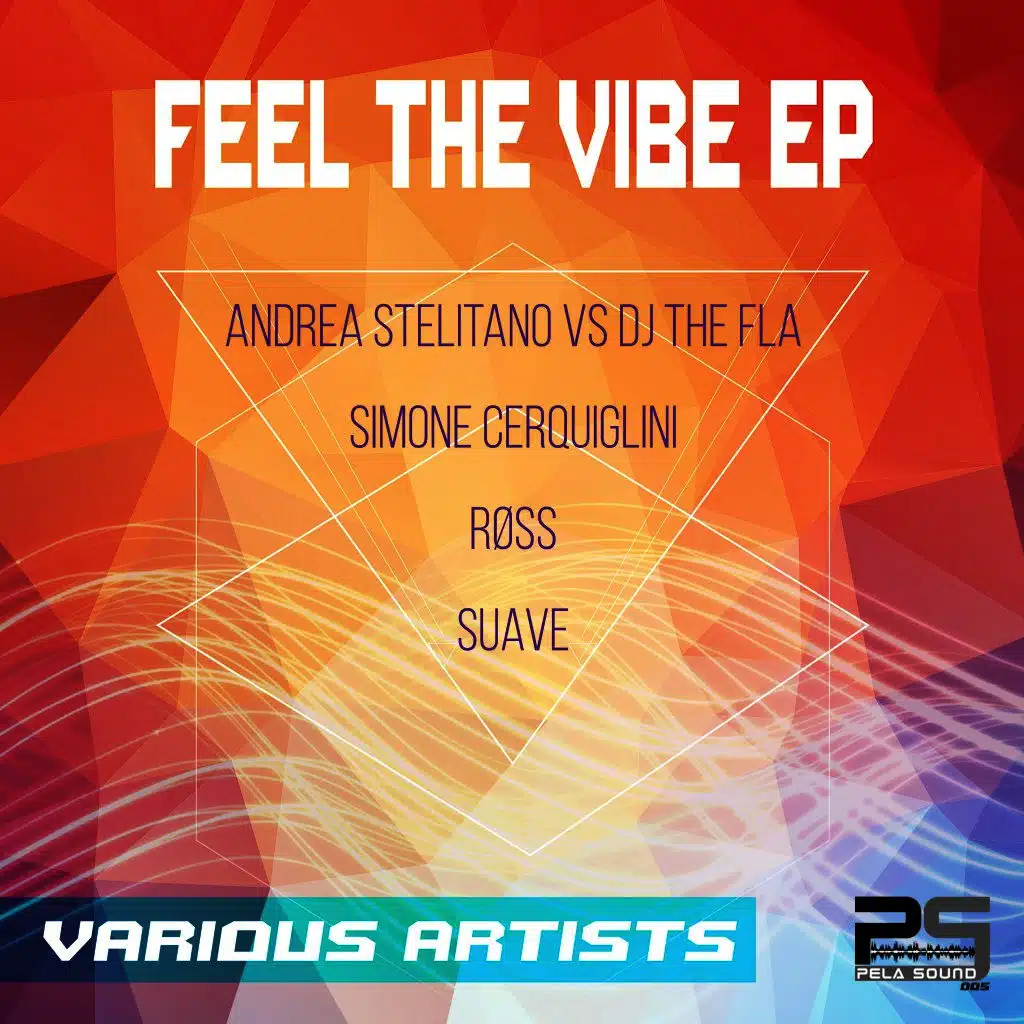 Feel the Vibe EP