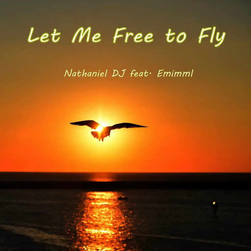 Nathaniel DJ feat. Emimml