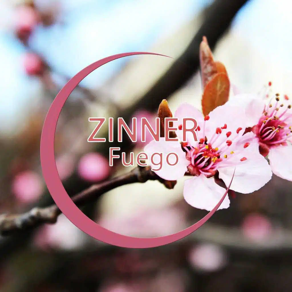 Fuego (Extended Mix)