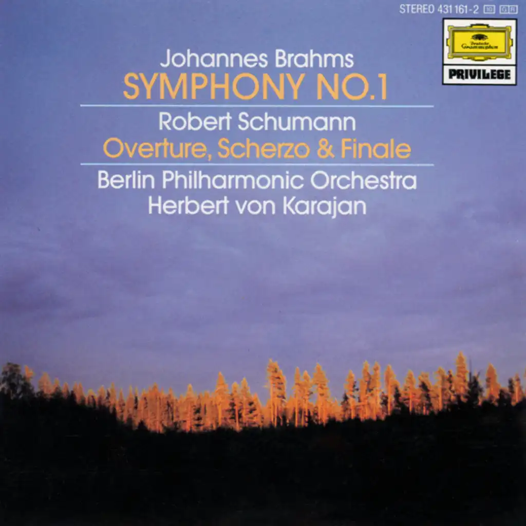 Brahms: Symphony No. 1 In C Minor, Op. 68: II. Andante sostenuto