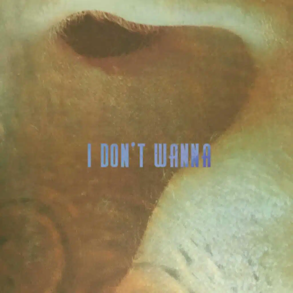 I Don't Wanna