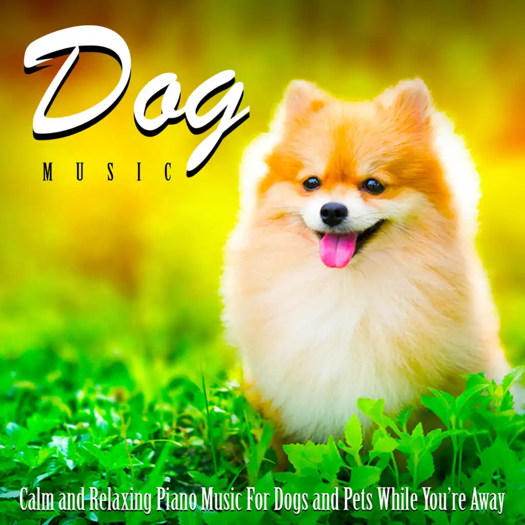 Dog Music: Calm and Relaxing Piano Music for Dogs and Pets While You're Away