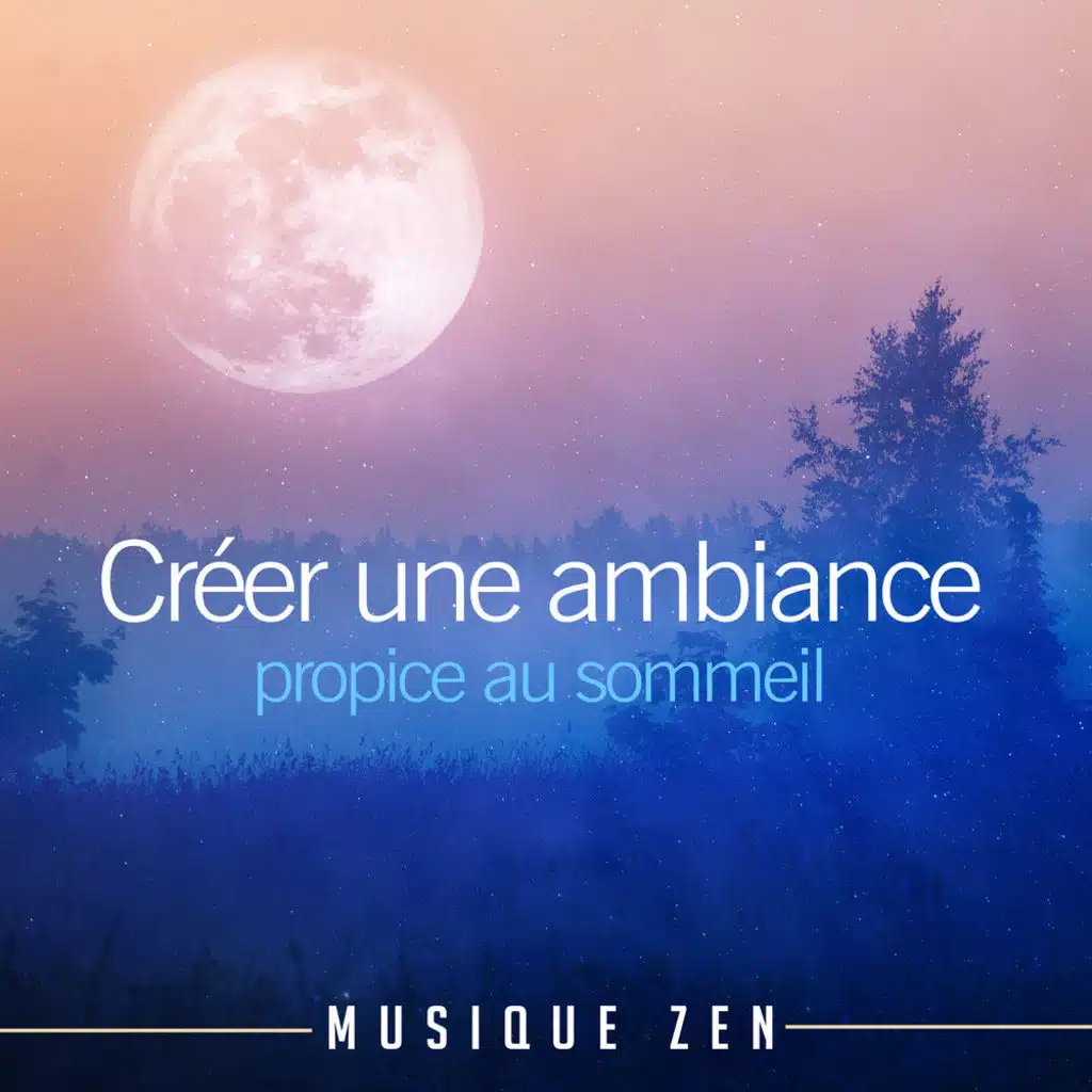Créer une ambiance propice au sommeil - Musique zen