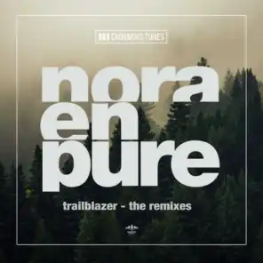 Trailblazer (Martin Waslewski Remix Edit)