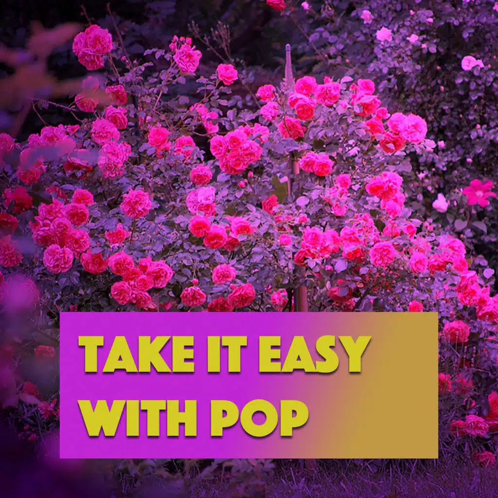 Take It Easy With Pop
