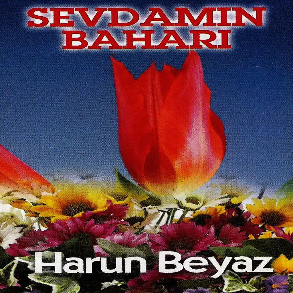 Sevdamın Baharı 