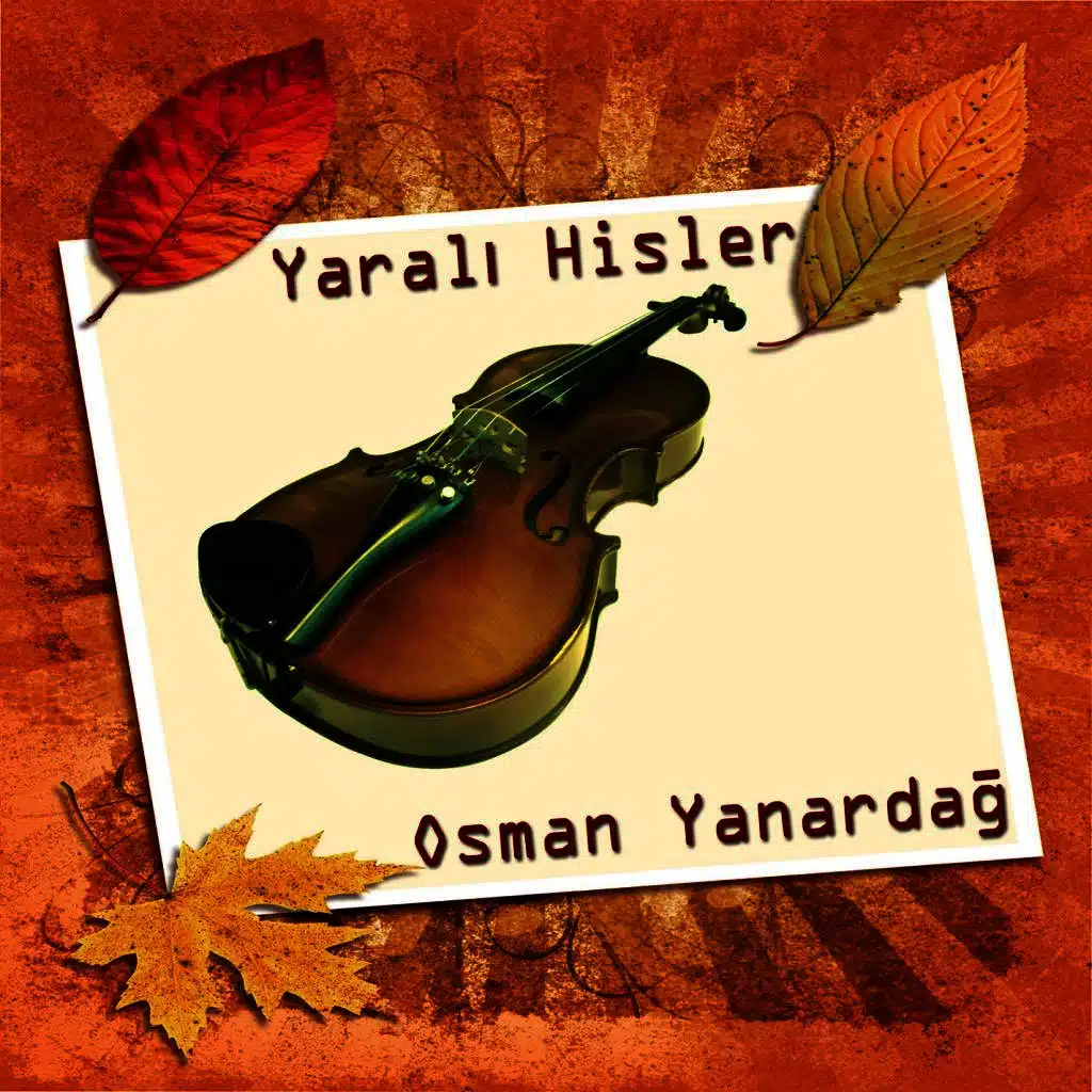 Yaralı Hisler  