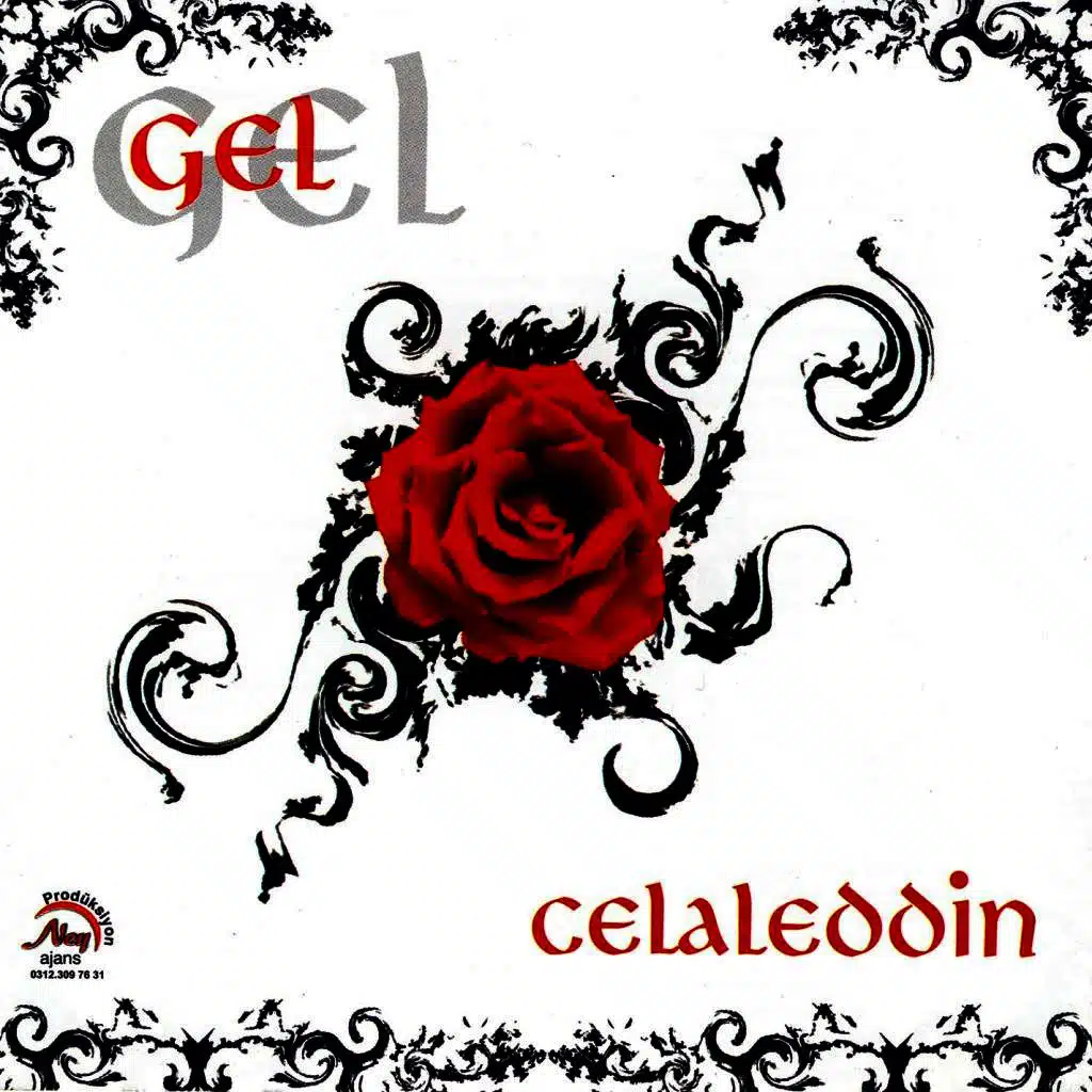 Gel