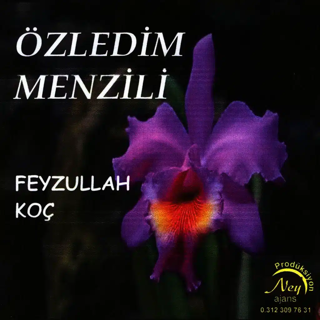Tevhit