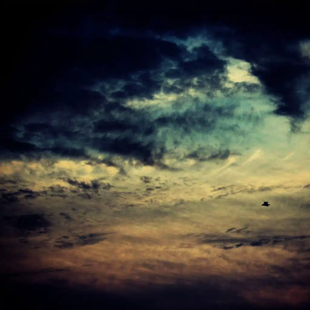 I Still Believe In You