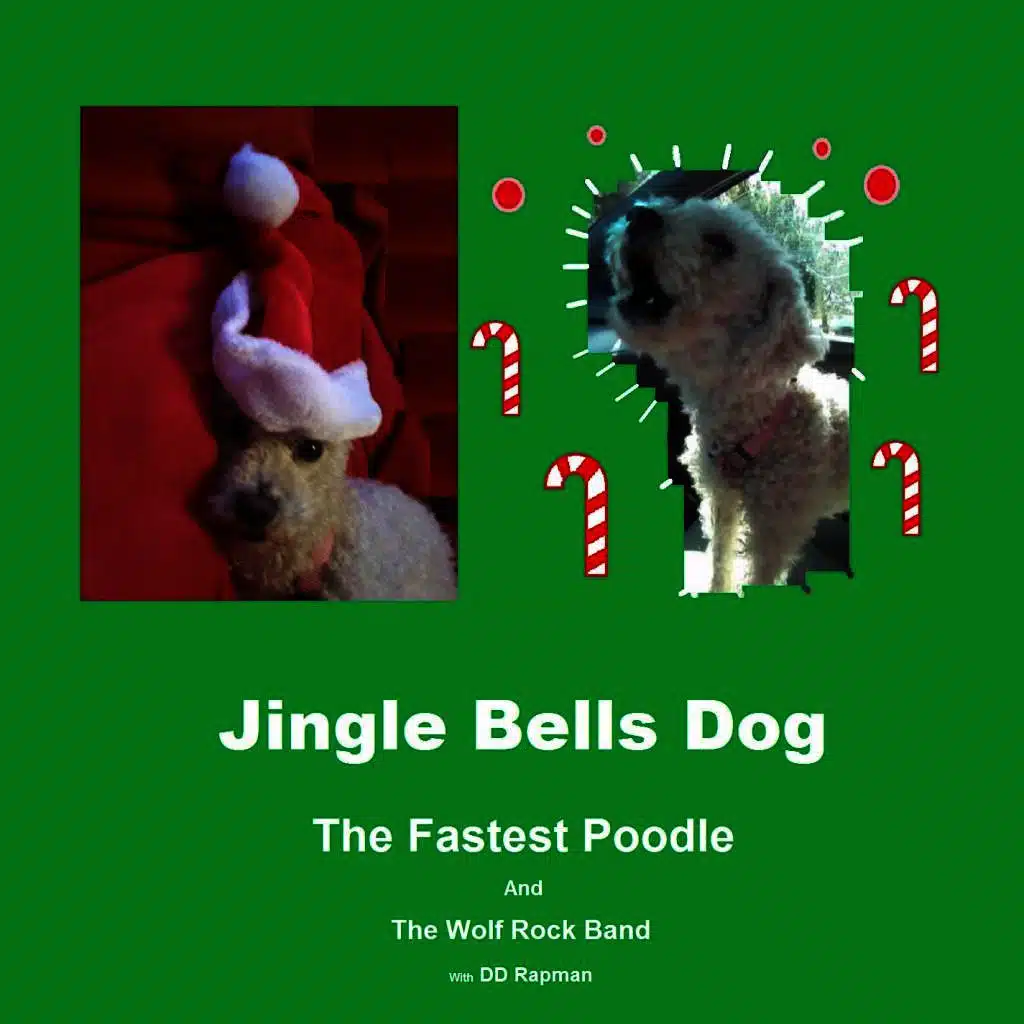Jingle Bells Dog
