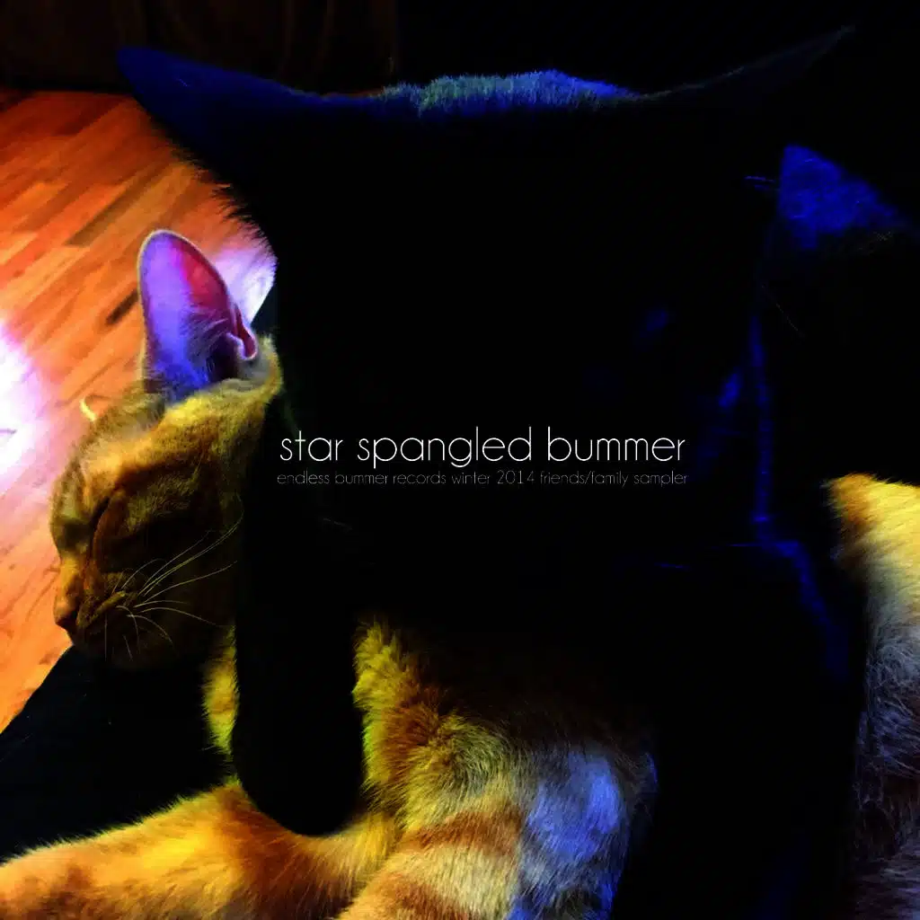 Star Spangled Bummer: An Endless Bummer Winter 2014 Friends/Family Sampler