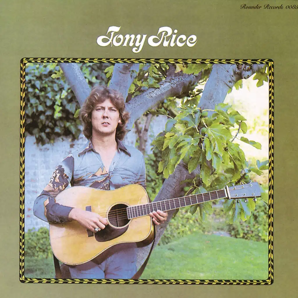 Don't Give Your Heart to A Rambler