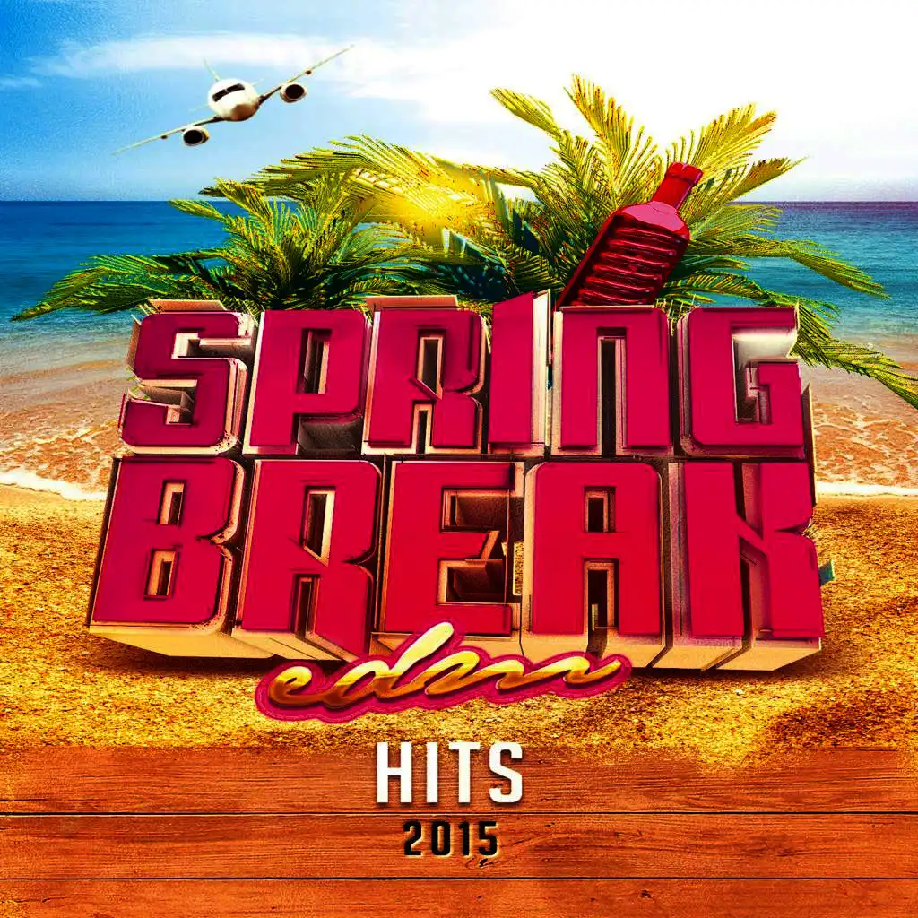 Spring Break EDM Hits 2015