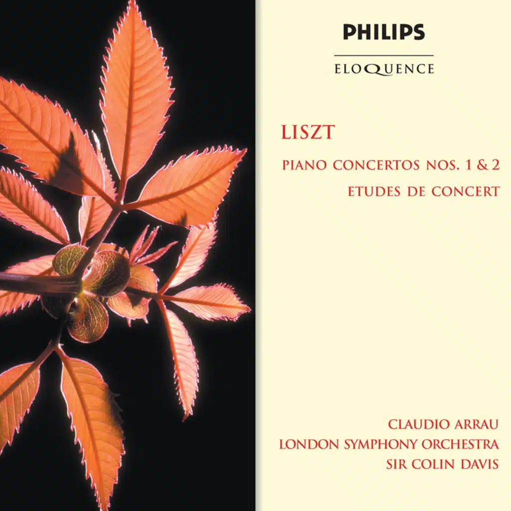 Liszt: Piano Concerto No. 1 in E flat, S.124: 2b. Allegro animato
