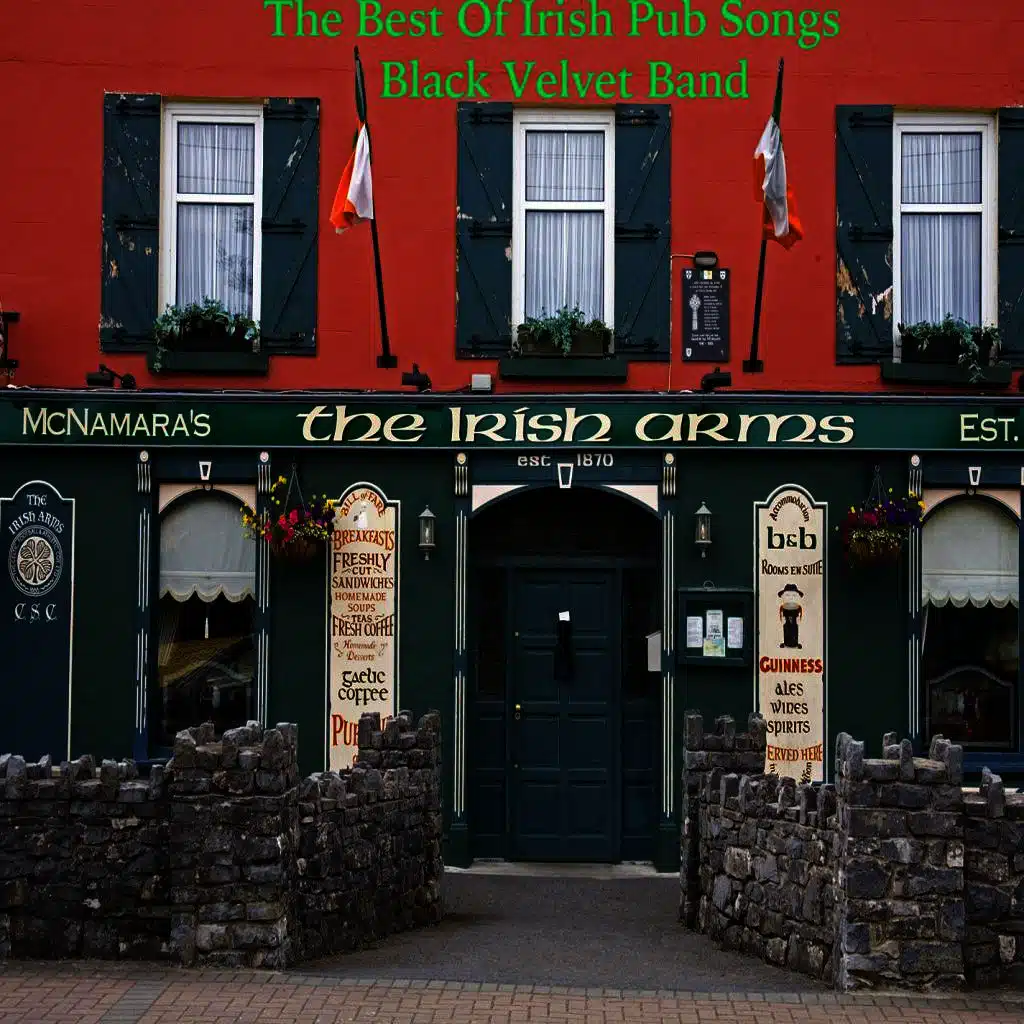 The Best Of Irish Pub Songs - Black Velvet Band