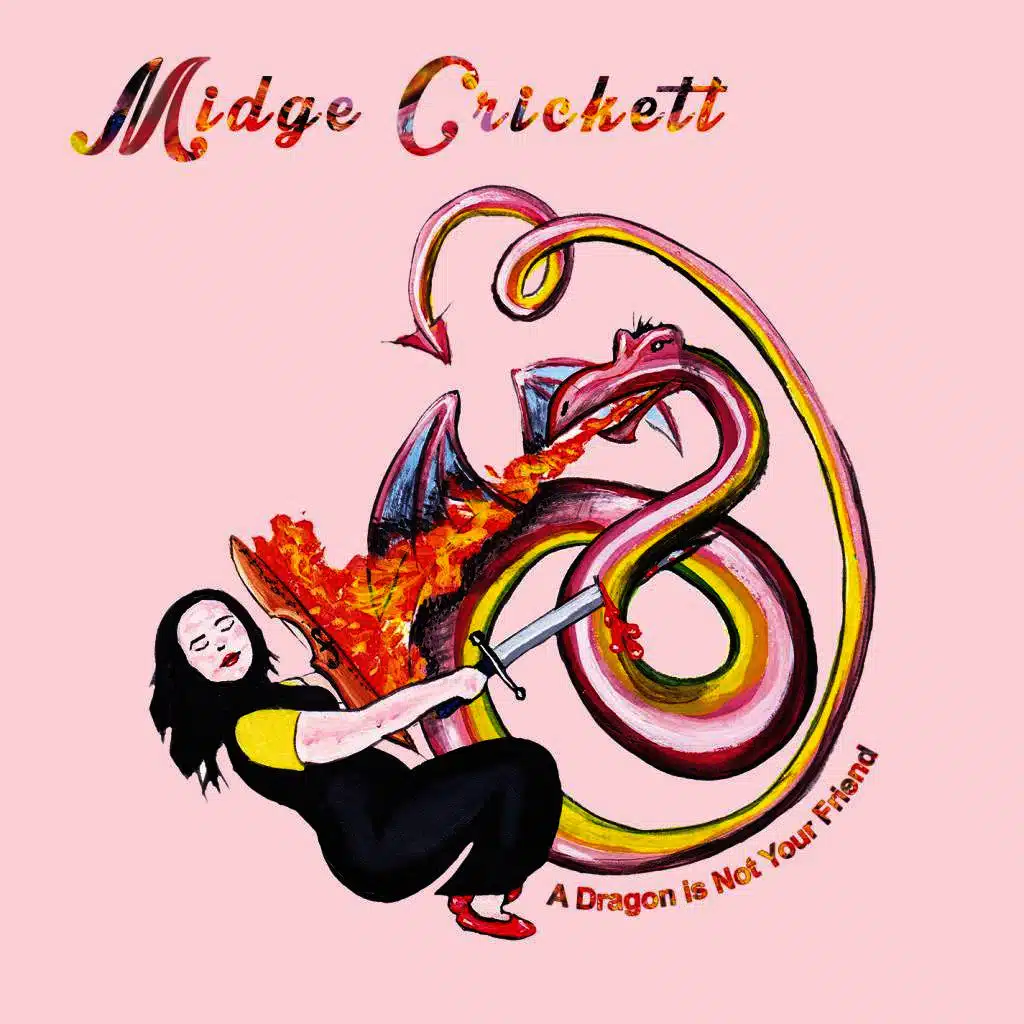 A Dragon is Not Your Friend