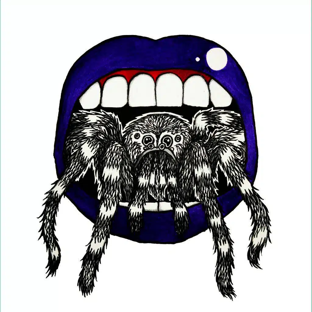 Tell Me More About Tarantulas