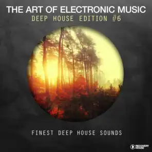 The Art Of Electronic Music - Deep House Edition, Vol. 6