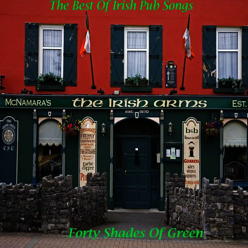 The Best Of Irish Pub Songs Forty Shades Of Green